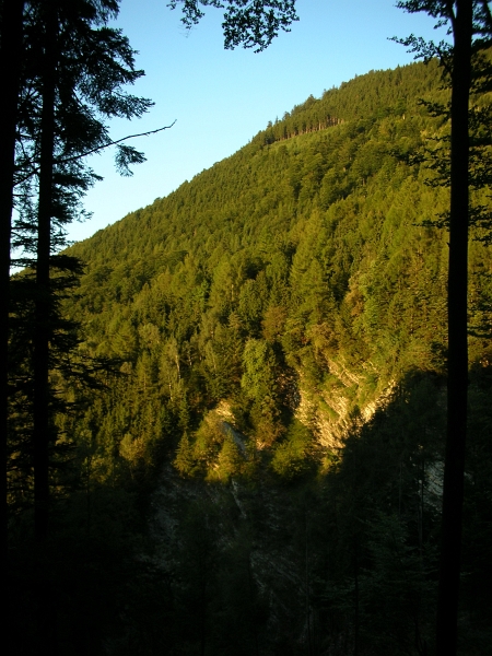 Gafadura 01_09_2010 (16).jpg
